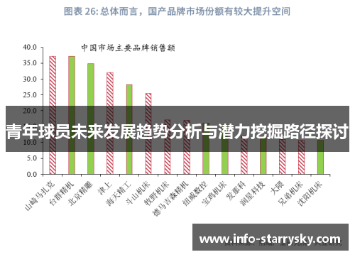 青年球员未来发展趋势分析与潜力挖掘路径探讨