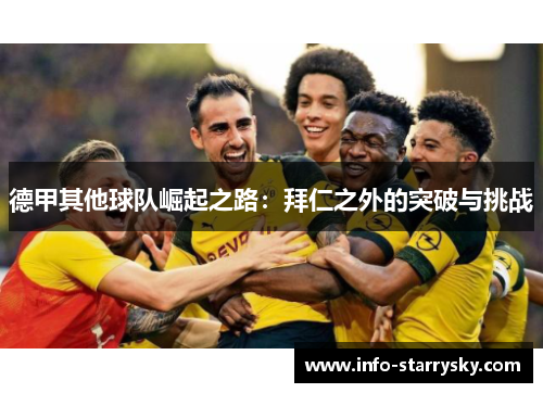 德甲其他球队崛起之路：拜仁之外的突破与挑战