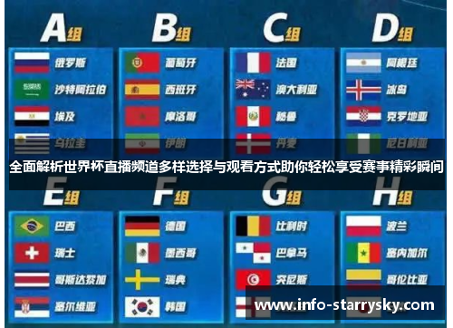 全面解析世界杯直播频道多样选择与观看方式助你轻松享受赛事精彩瞬间