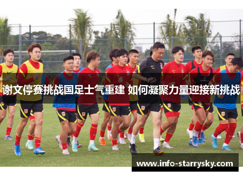 谢文停赛挑战国足士气重建 如何凝聚力量迎接新挑战