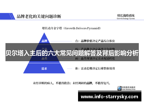 贝尔塔入主后的六大常见问题解答及背后影响分析