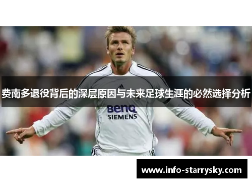 费南多退役背后的深层原因与未来足球生涯的必然选择分析